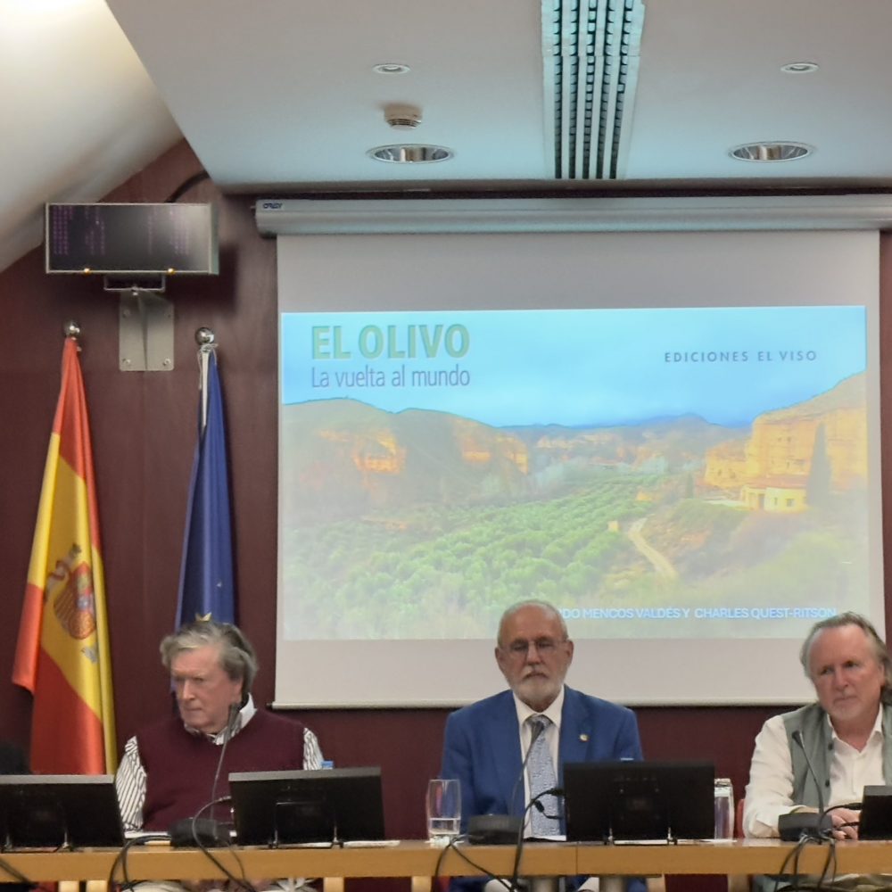 Presentación El Olivo